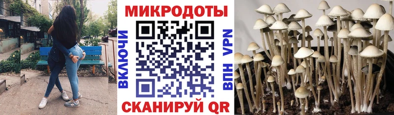 Галлюциногенные грибы прущие грибы  Гороховец 